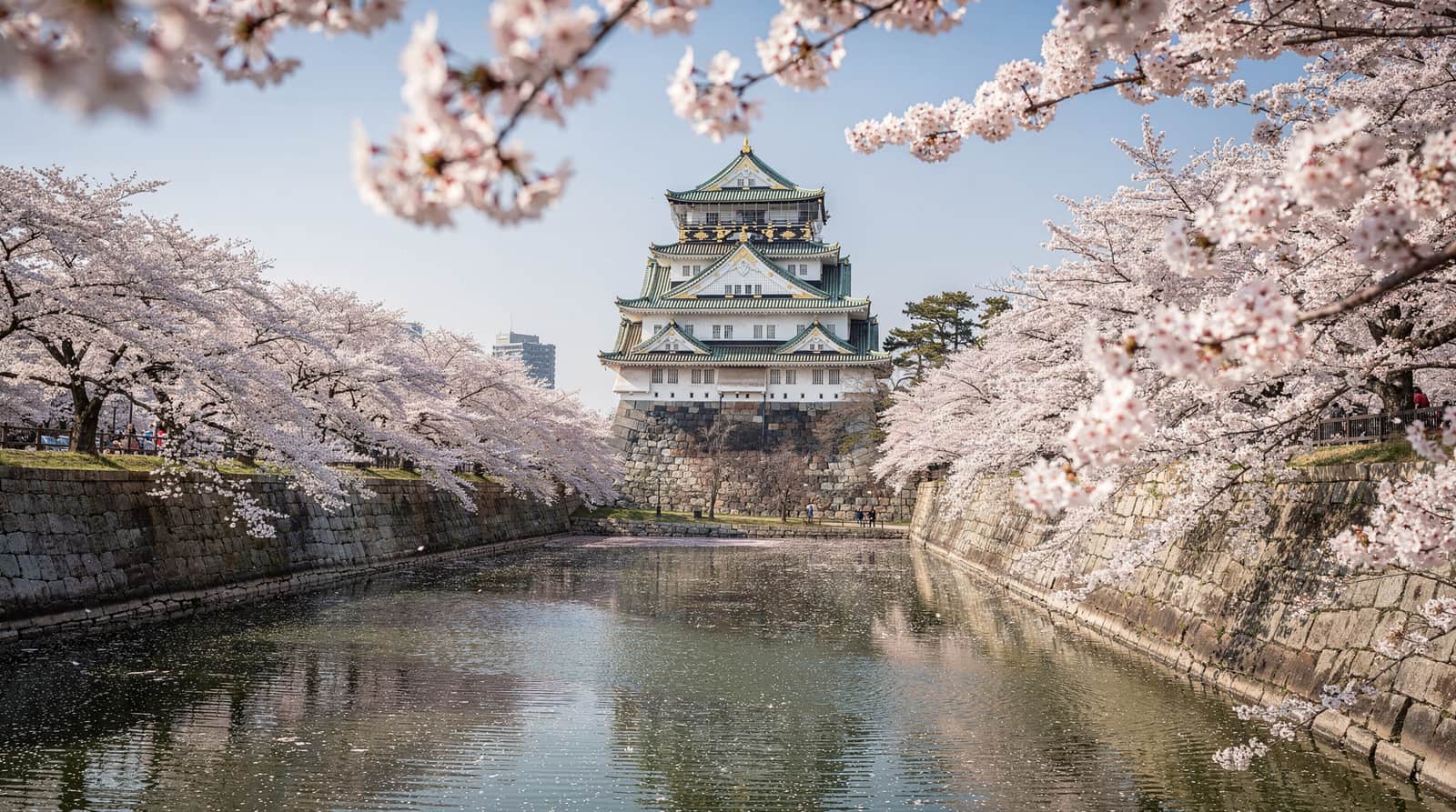 Kansai cherry blossom forecast, 2026 timing guide — When cherry blossoms peak across Kansai in 2026, and where to see them without f