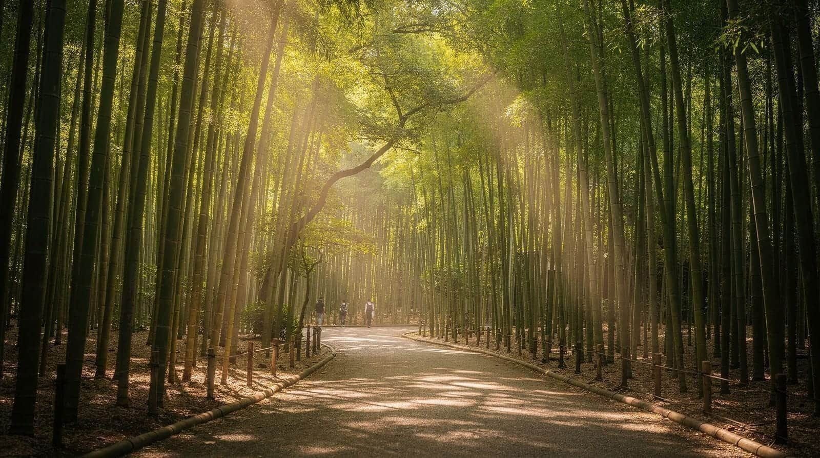 Arashiyama, Kansai