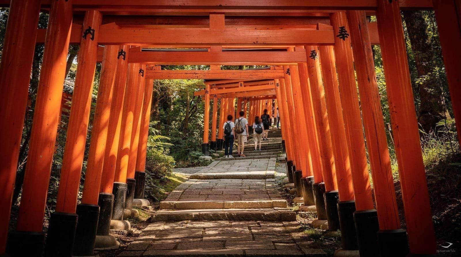 Kyoto: Kyoto Fushimi Inari night walking tour