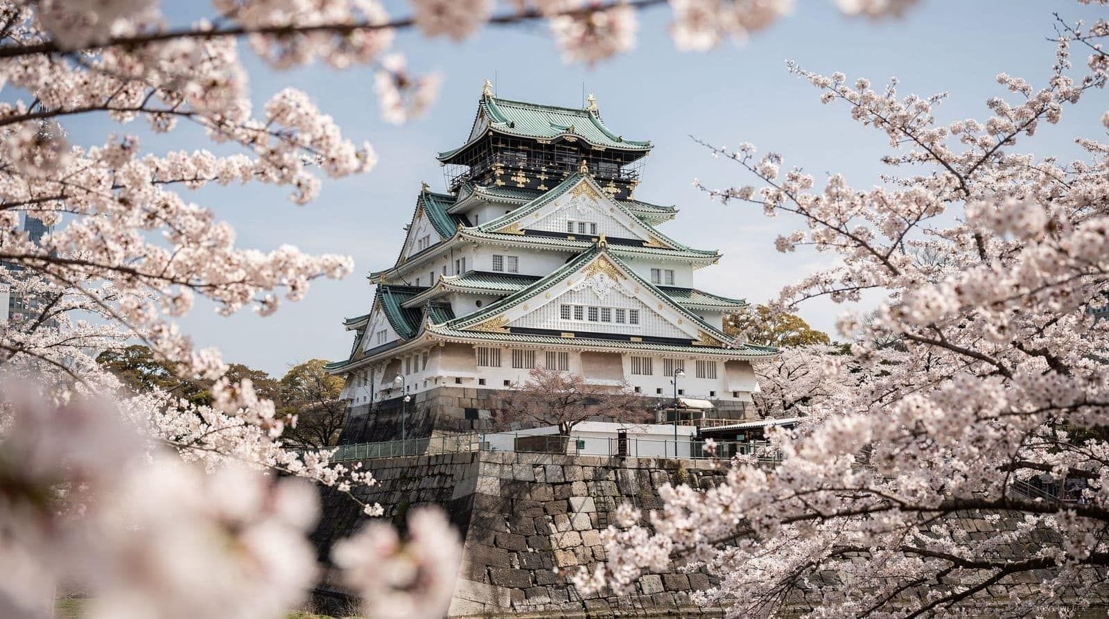Best time to visit Osaka, month by month — Month-by-month guide to visiting Osaka — weather, crowds, prices, and what's act