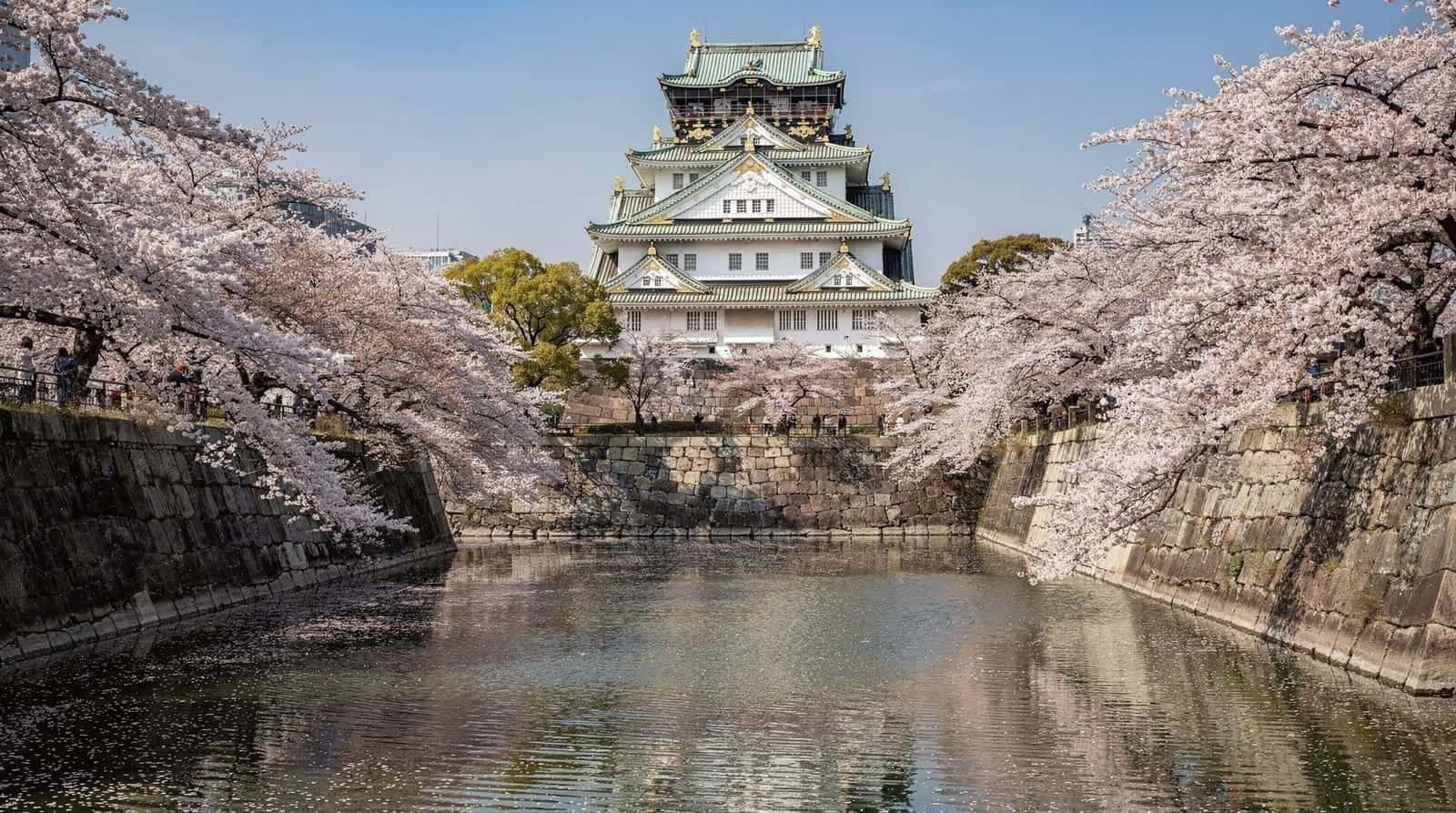 Cherry blossom season in Osaka, a 2026 guide — 2026 cherry blossom guide for Osaka — projected peak dates, the best viewing spo