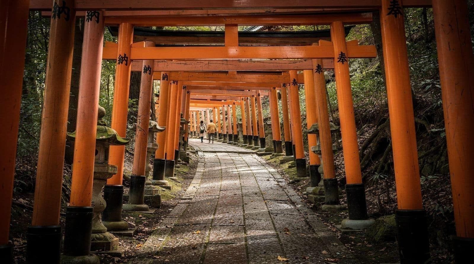 Kyoto: Kyoto Fushimi Inari guided walking tour