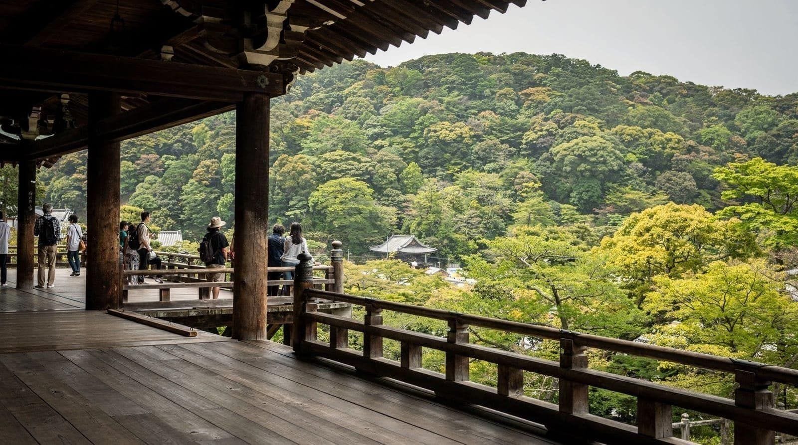 Koyasan: Koyasan highlights special guide 4-hour