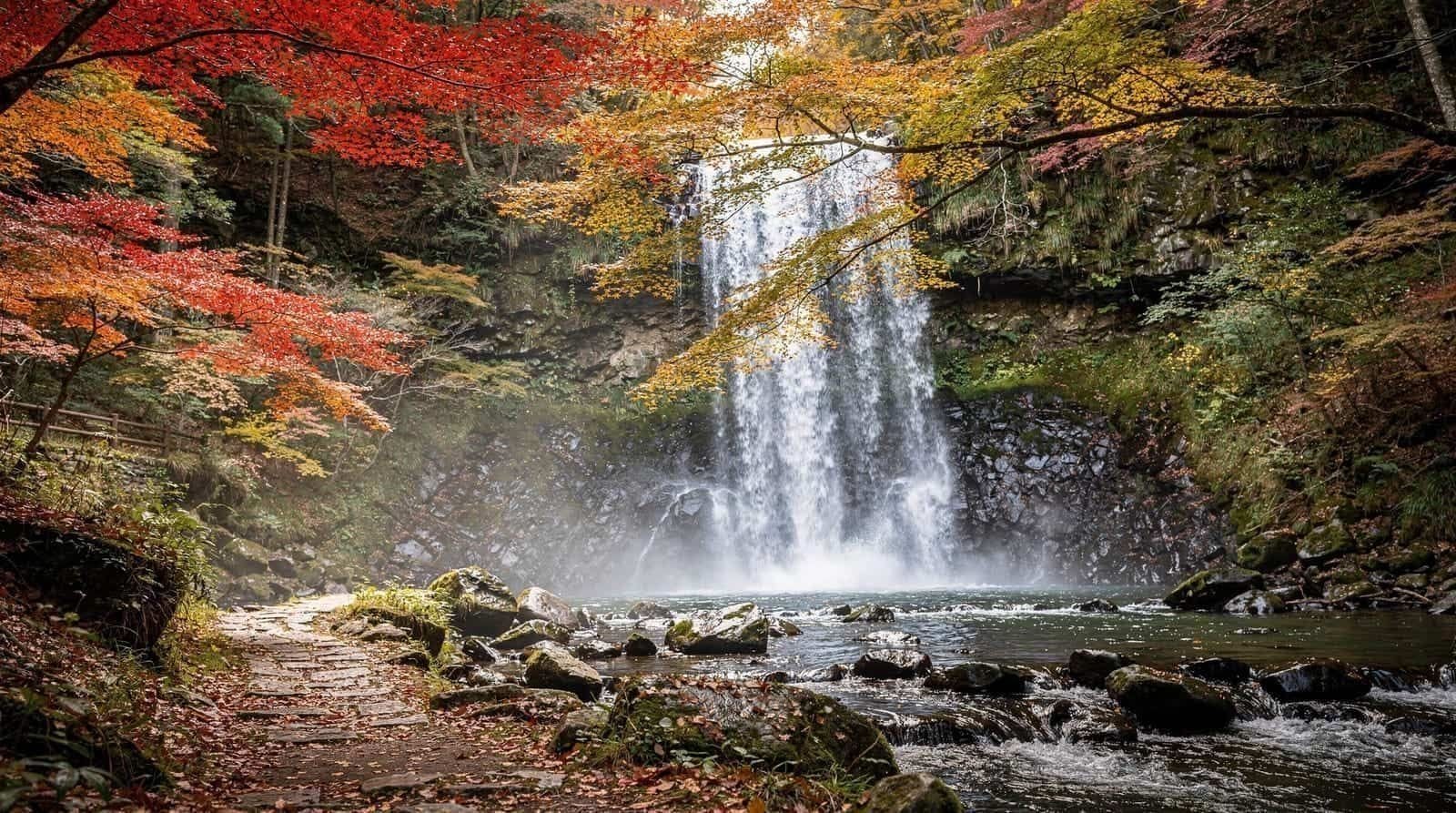 Nature & gardens — Bamboo groves, waterfalls and deer parks