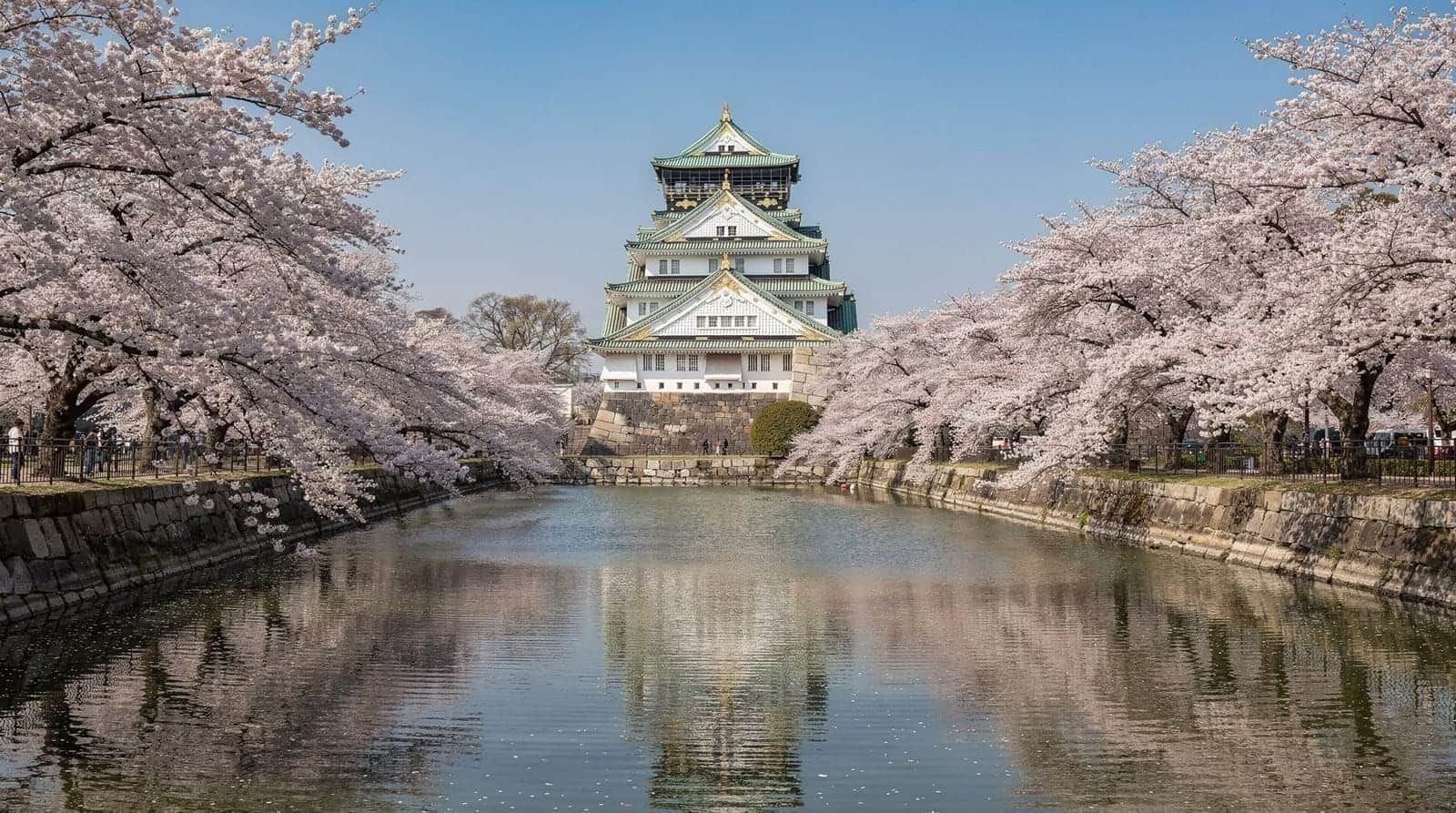 Kansai cherry blossom itinerary, 7 days — 7 days — moderate — mid-range